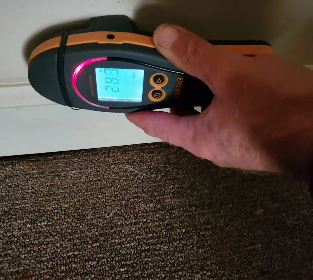 Moisture detection at baseboard during Mold Inspection & Testing in Trophy Club